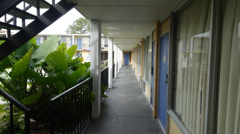 Enlarge photo 22