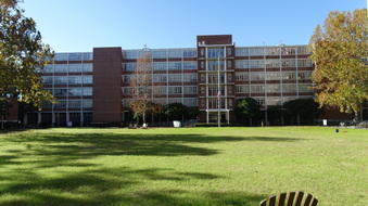 Enlarge photo 45