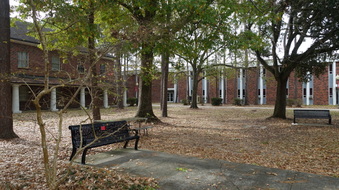 Enlarge photo 57