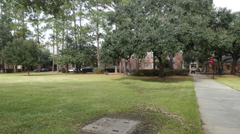 Enlarge photo 23