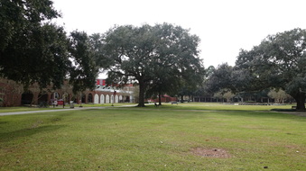 Enlarge photo 28