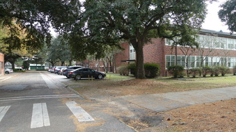 Enlarge photo 30