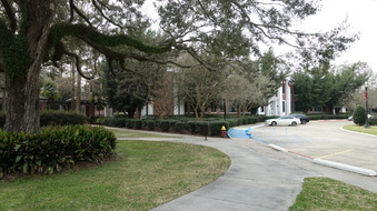 Enlarge photo 35
