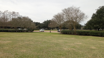 Enlarge photo 39
