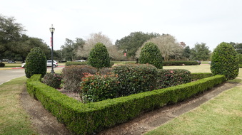 Enlarge photo 41