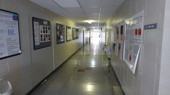 Enlarge photo 38