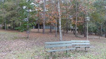 Enlarge photo 4