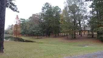 Enlarge photo 23