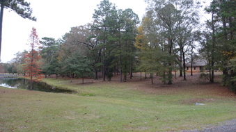 Enlarge photo 25