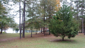 Enlarge photo 27