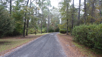 Enlarge photo 29