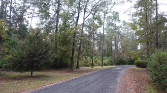 Enlarge photo 30