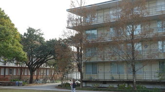 Enlarge photo 11