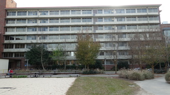 Enlarge photo 26