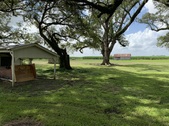 Enlarge photo 37