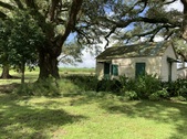 Enlarge photo 38