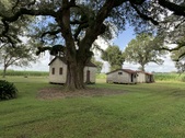 Enlarge photo 40