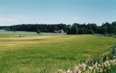 Enlarge photo 36