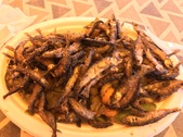 Enlarge photo 23