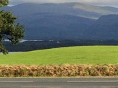Enlarge photo 62