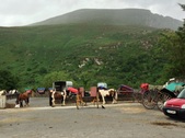 Enlarge photo 75