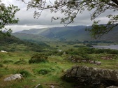 Enlarge photo 80