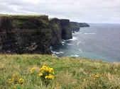 Enlarge photo 93