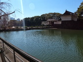 Japan Feb-Mar 2025
