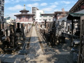 Enlarge photo 10