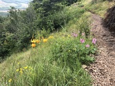 Enlarge photo 16