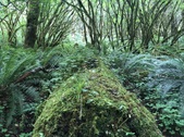 Enlarge photo 1