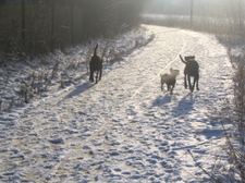 Enlarge photo 24