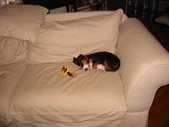 Enlarge photo 8