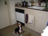 Enlarge photo 169