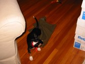Enlarge photo 12