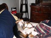 Enlarge photo 167