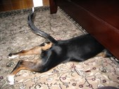 Enlarge photo 168