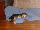 Enlarge photo 29