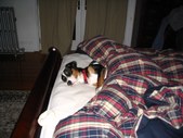 Enlarge photo 217