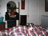 Enlarge photo 219