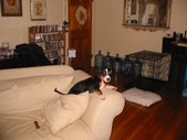 Enlarge photo 47