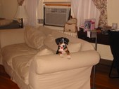 Enlarge photo 51