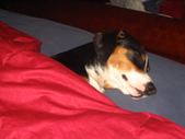 Enlarge photo 294
