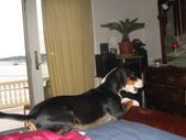 Enlarge photo 303
