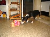 Enlarge photo 328