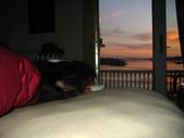 Enlarge photo 359