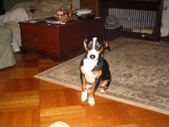 Enlarge photo 389