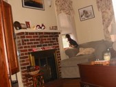 Enlarge photo 89
