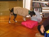 Enlarge photo 425