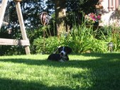 Enlarge photo 99